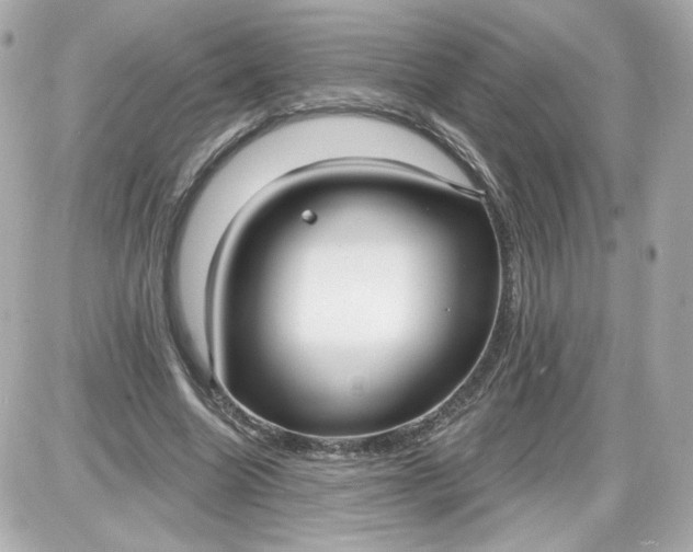 X0000087570538200705112215