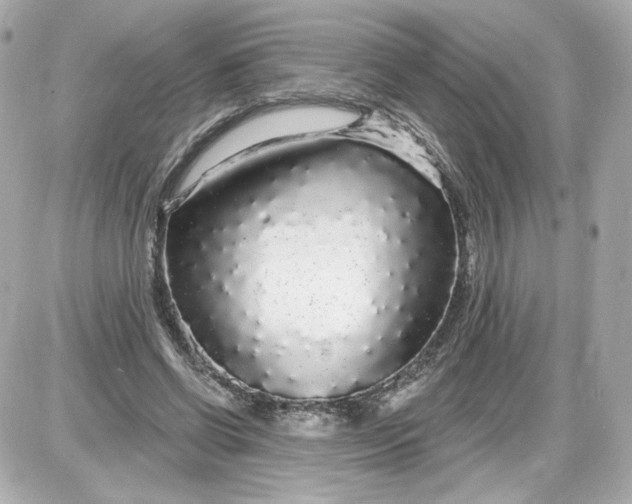 X0000087570542200705112215