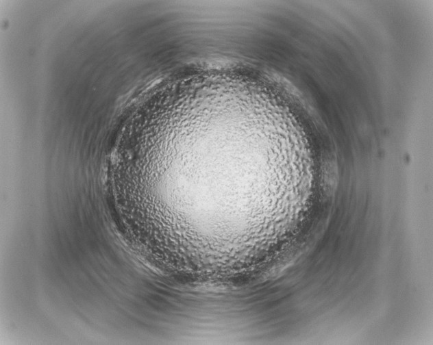 X0000087570545200705112215