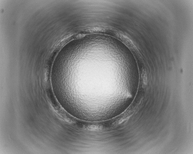 X0000087570546200705112215