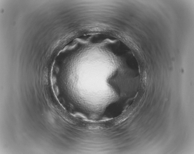 X0000087570547200705112215