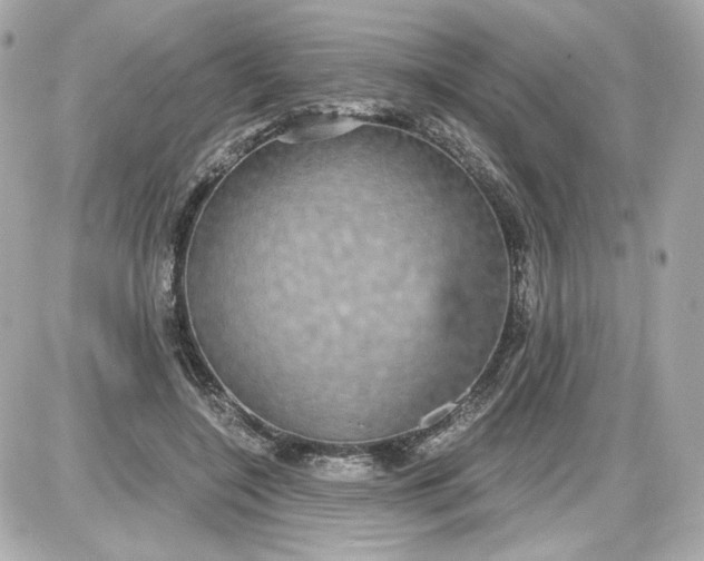 X0000087570548200705112215