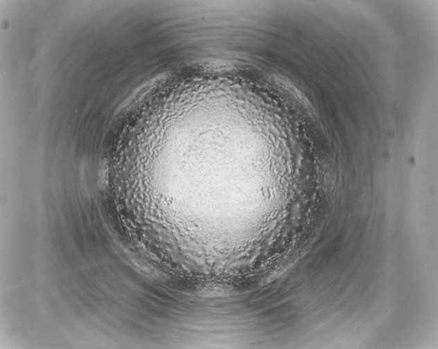 X0000087570549200705112215