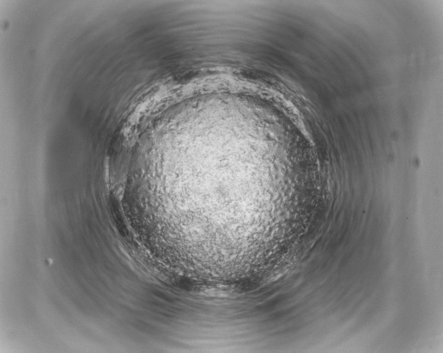 X0000087570550200705112215