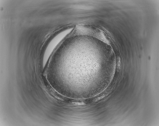 X0000087570552200705112215