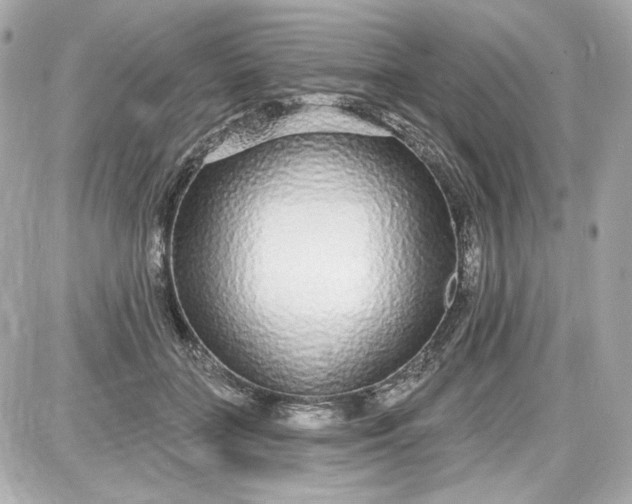 X0000087570555200705112215