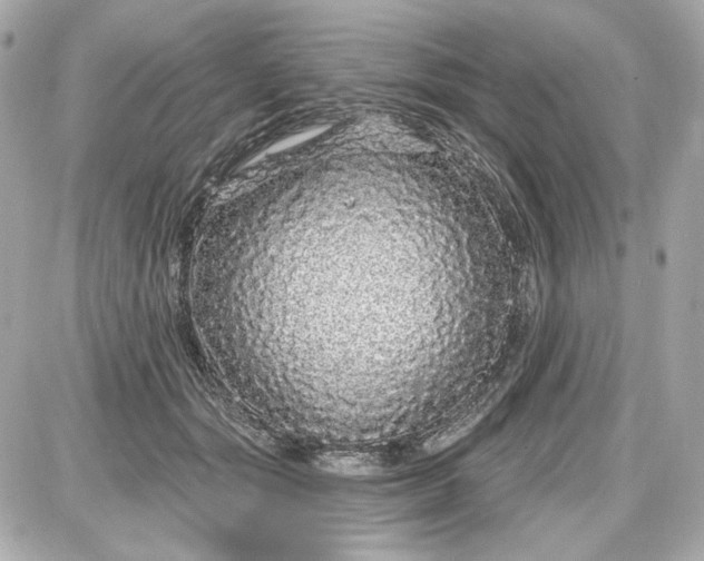 X0000087570557200705112215