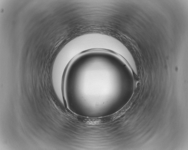X0000087570560200705112215
