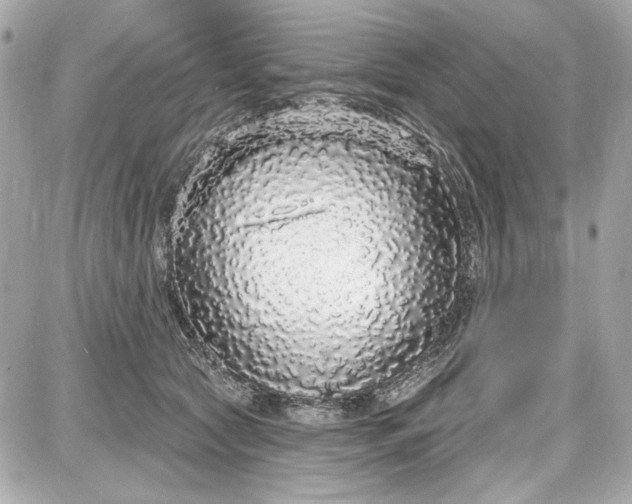 X0000087570561200705112215