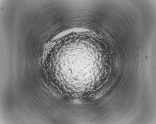 X0000087570565200705112215