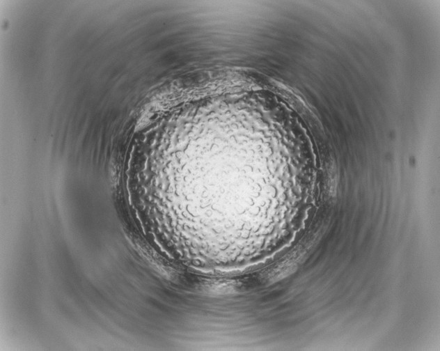 X0000087570569200705112215
