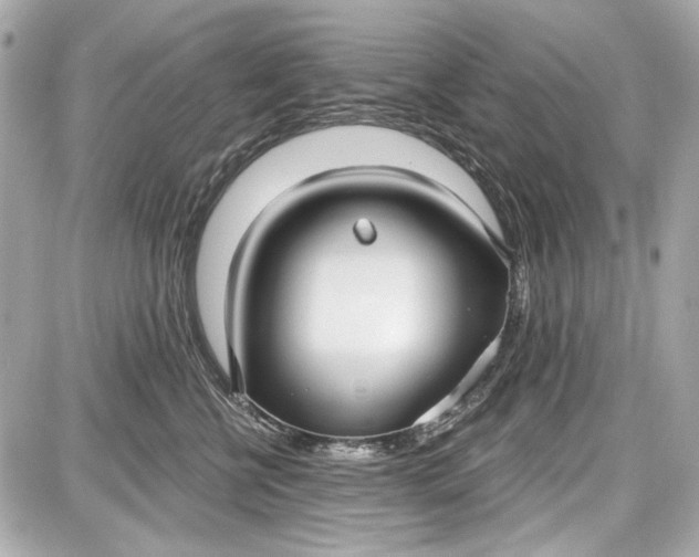X0000087570570200705112215