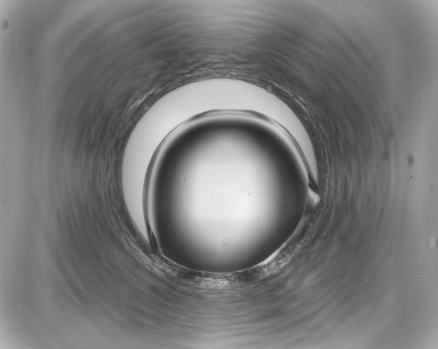 X0000087570572200705112215