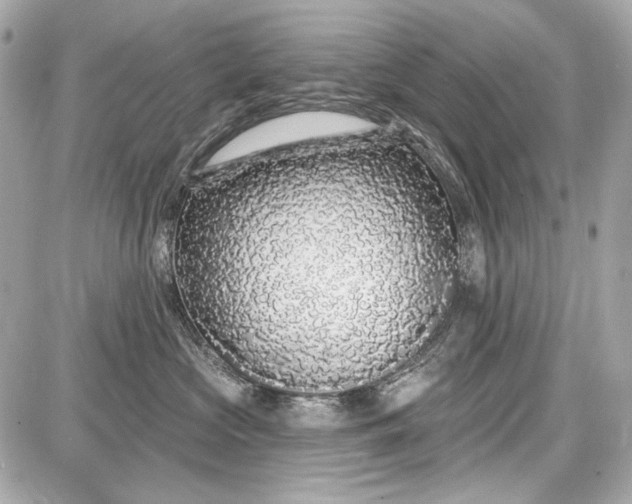 X0000087570573200705112215