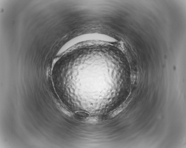 X0000087570574200705112215