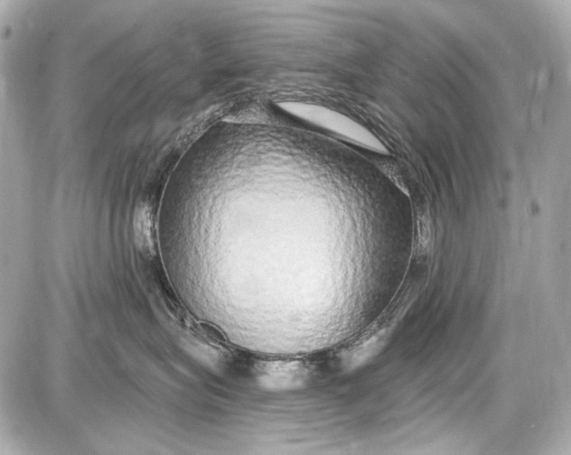 X0000087570575200705112215