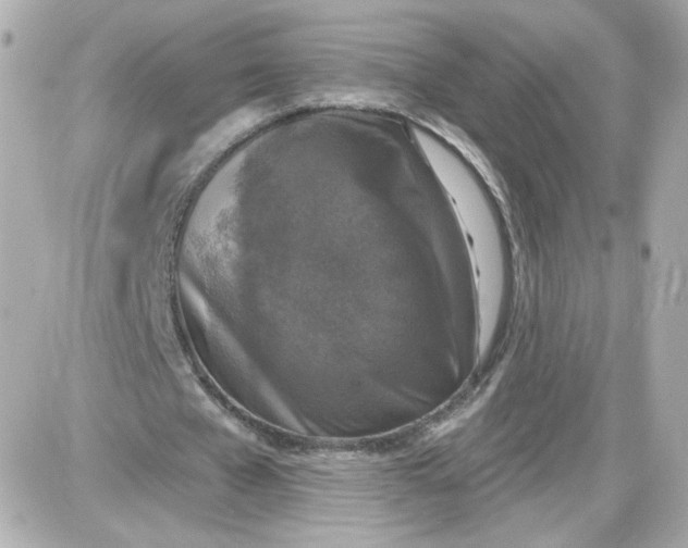 X0000087570577200705112215