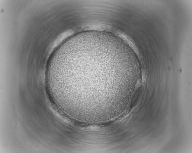 X0000087570578200705112215