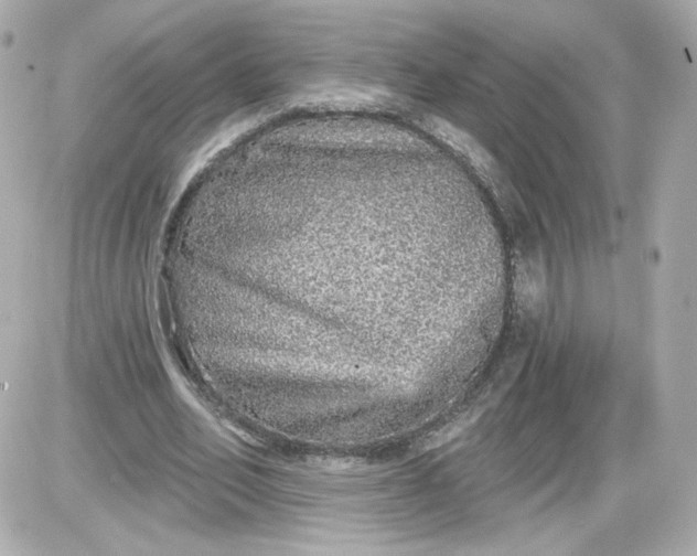 X0000087570582200705112215