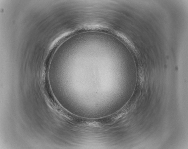X0000087570583200705112215