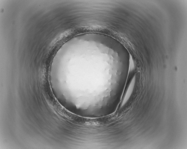 X0000087570591200705112214