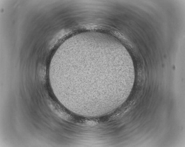 X0000087570592200705112214