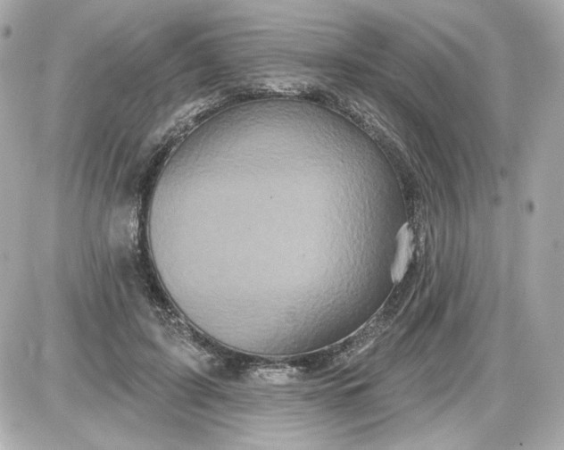 X0000087570595200705112214