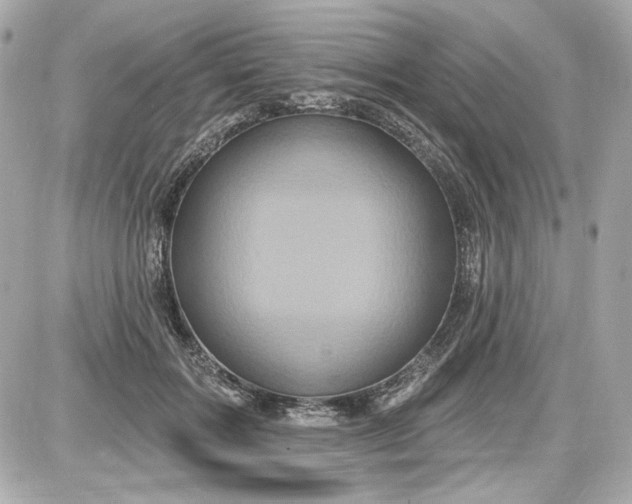 X0000087570603200705112214