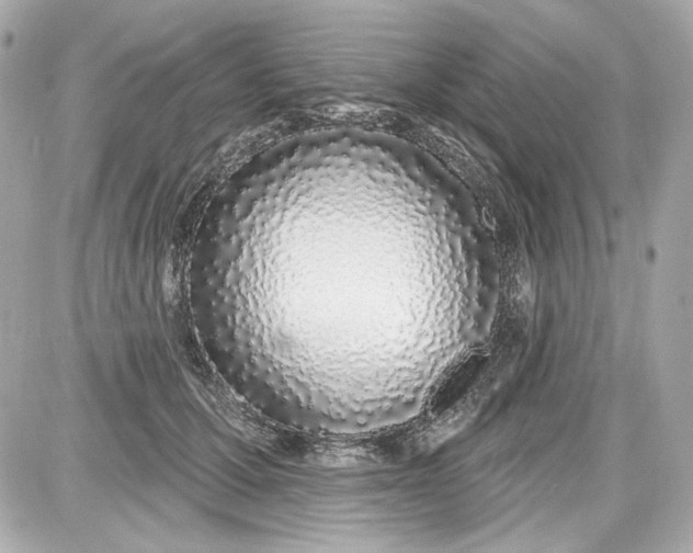 X0000087570607200705112214
