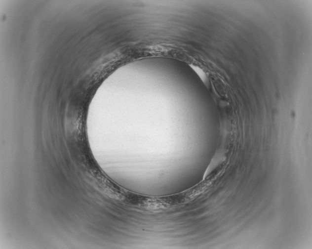 X0000087570608200705112214