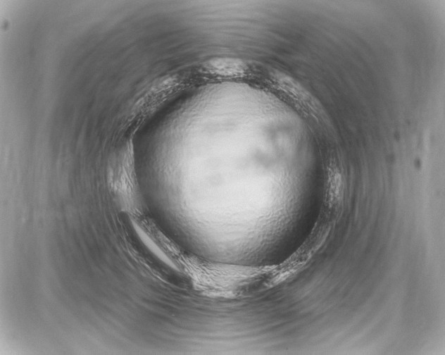 X0000087570609200705112214