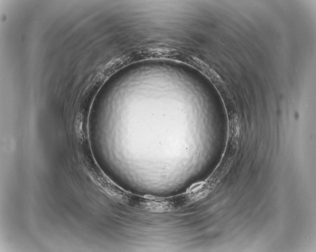 X0000087570615200705112214