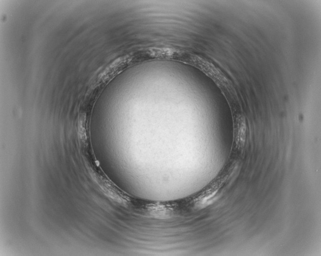 X0000087570616200705112214
