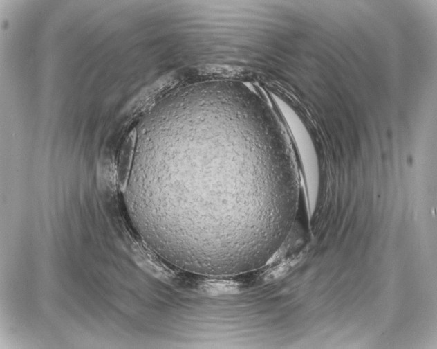 X0000087570617200705112214