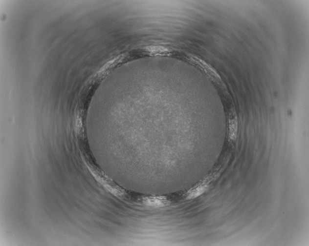 X0000087570618200705112214