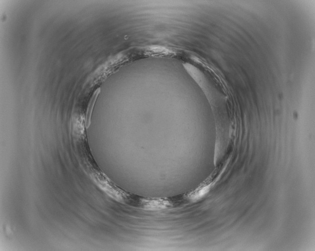 X0000087570621200705112214