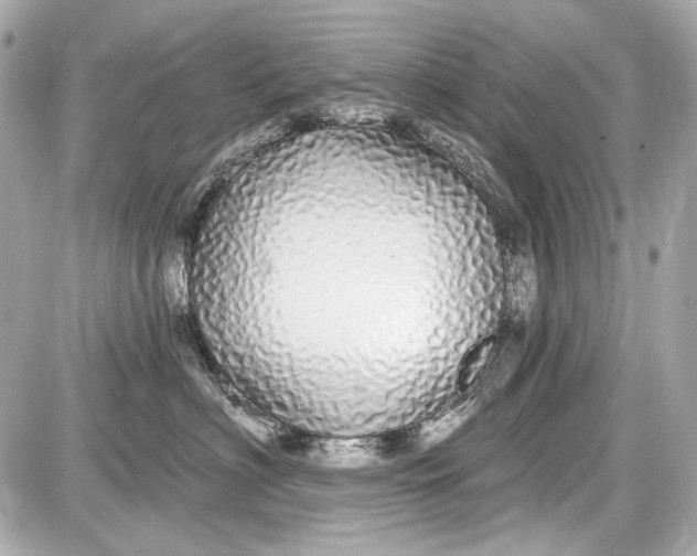 X0000087570622200705112214