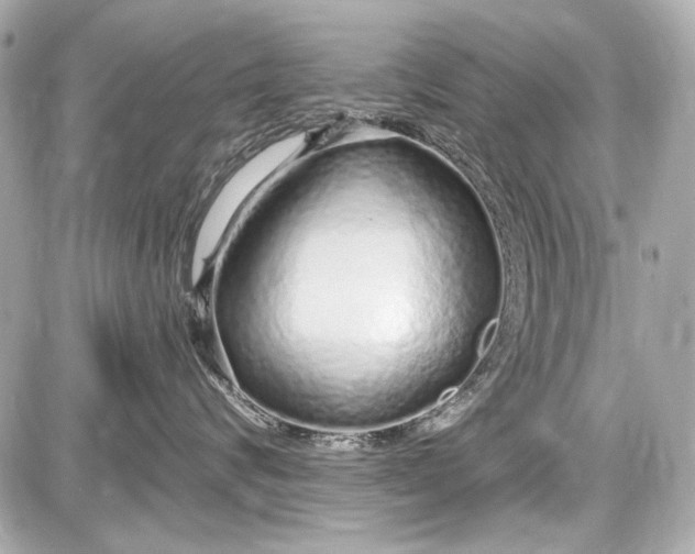 X0000087570624200705112214