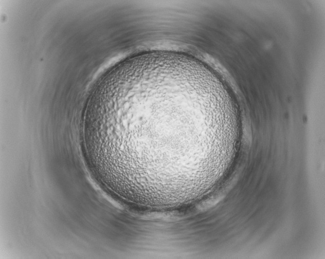 X0000087570625200705112213