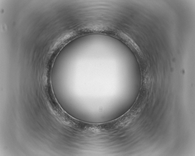 X0000087570635200705112213