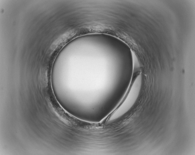 X0000087570638200705112213