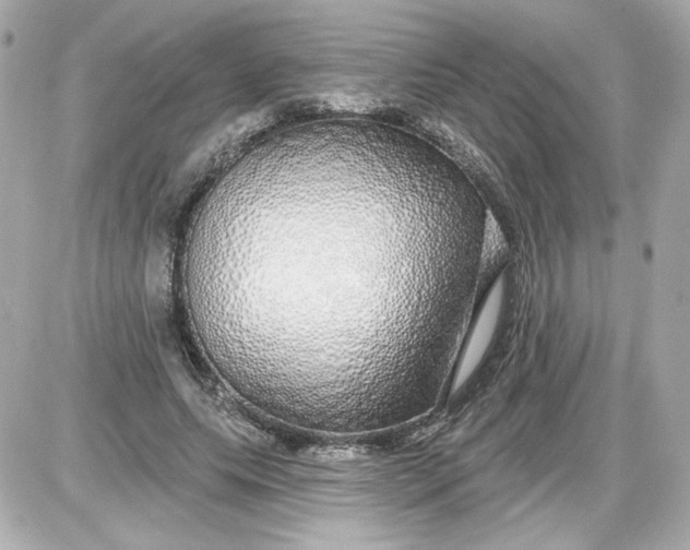 X0000087570639200705112213