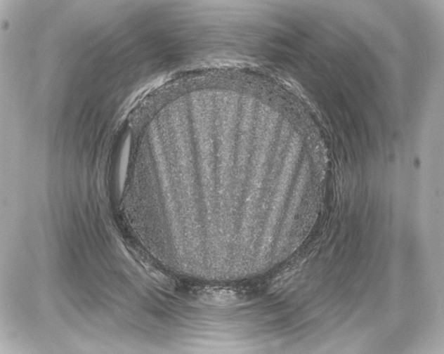 X0000087570640200705112213