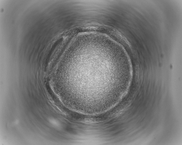 X0000087570641200705112213