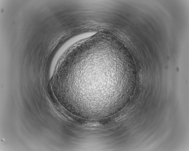 X0000087570642200705112213