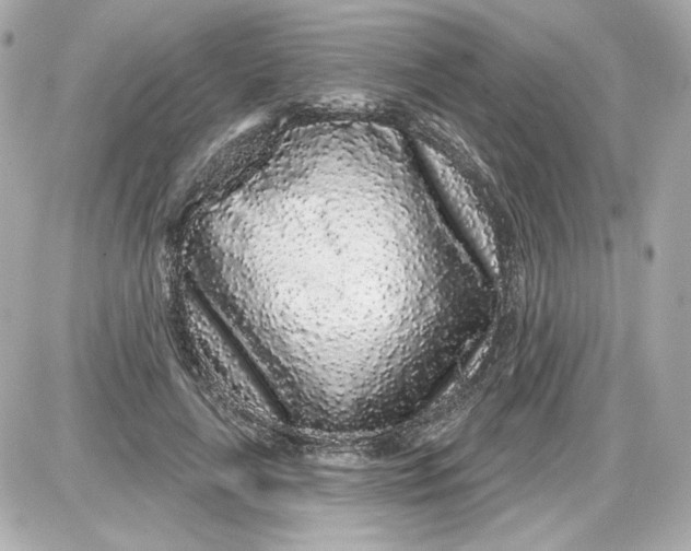 X0000087570643200705112213