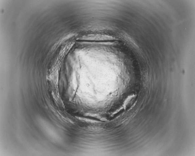 X0000087570644200705112213