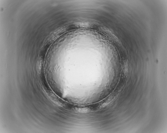 X0000087570645200705112213