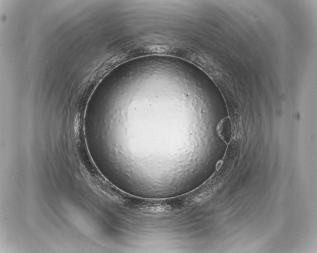 X0000087570646200705112213