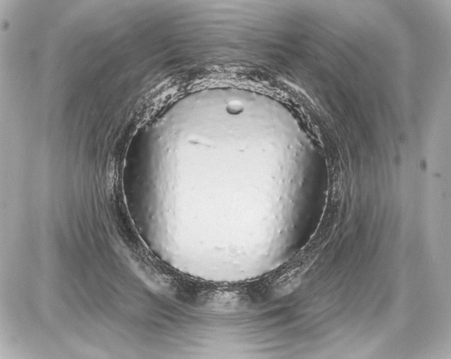 X0000087570647200705112213